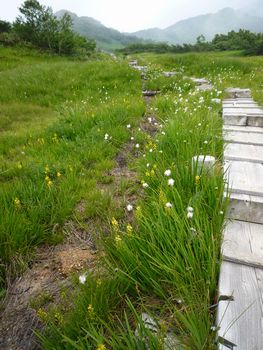 oR20080811_103