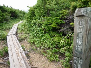 oR20080811_105