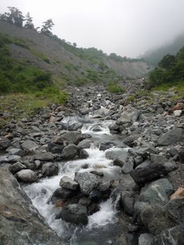 oR20080811_106