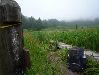 oR20080811_108