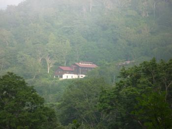 oR20080811_109
