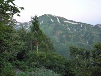 oR20080812_4