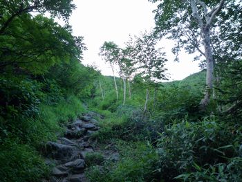 oR20080812_10