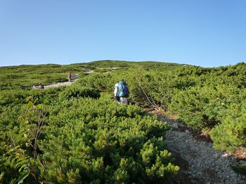 oR20080812_19