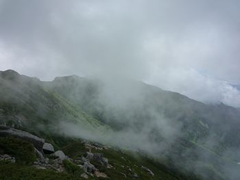 94