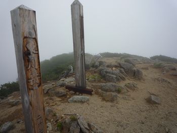 101
