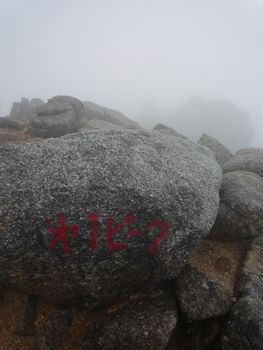 116